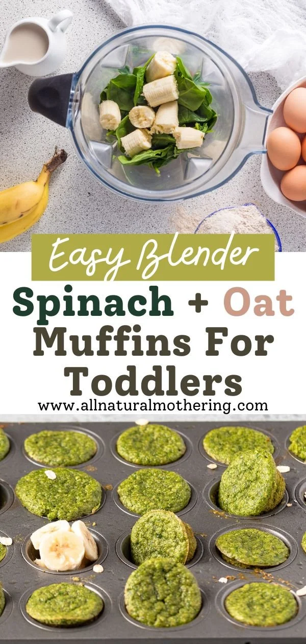 Easy blender muffins with spinach and oats for toddlers in a bowl