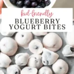 blueberry yogurt bites 2026 08 06 192212 569x1024 1