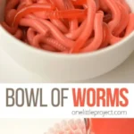 bowl of worms how to make jello worms 2026 08 06 192202 486x1024 1