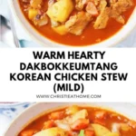 dakbokkeumtang korean chicken stew 2026 08 07 203246 488x1024 1