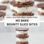 no bake bounty slice bites recipe healthy winter 2026 08 06 192315 683x1024 1